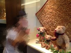 -济州岛泰迪熊博物馆