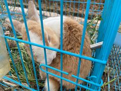 -美家乐农庄·露营·团建(大治路店)