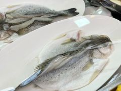 -老济南·地道济南菜(大明湖店)