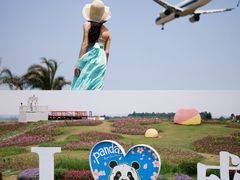 -空港花田景区