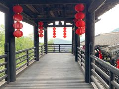 -大唐贡茶院