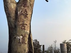 -长沙黑麋峰国家森林公园