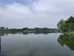 -东郊湿地公园