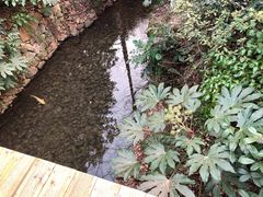 -天目湖御水温泉·度假酒店