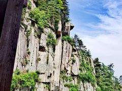 -内乡宝天曼生态旅游区