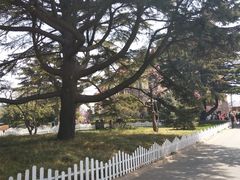 -青岛德国总督楼旧址博物馆