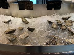 -Oyster Talks 四度蚝法餐厅