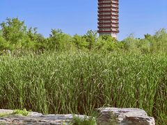 -西海子公园