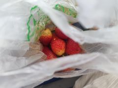 -雪儿钱局泡菜