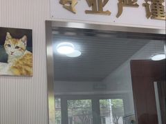 -守诺宠物医院·眼科· 特色牙科·异宠专科(虹口店)