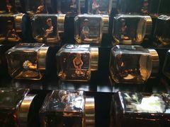 -上海外滩英迪格酒店