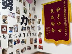 -宠福鑫动物医院(城北分院)