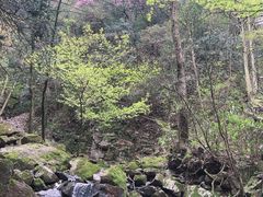 -藏龙百瀑风景区