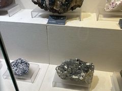 -安徽省地质博物馆