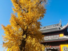 -上海青龙寺