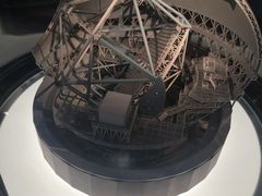 -贝林大翅鲸简餐厅(国家海洋博物馆店)