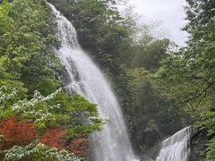 -大围山国家森林公园