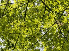 -五谷屯私房菜·始于2005(中山陵童卫路店)