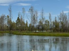-野鸭湖国家湿地公园