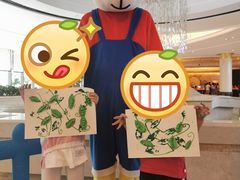 -同里湖度假村(二期店)