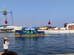 -秦皇岛乐岛海洋王国