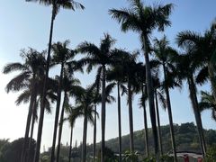 -广州市白云山风景名胜区