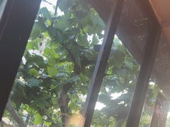 -新疆烧烤王(广灵店)