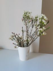 -敦南真爱月子会所(黄埔店)