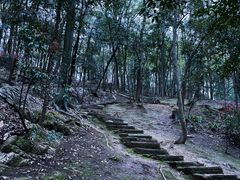 -黔灵山公园