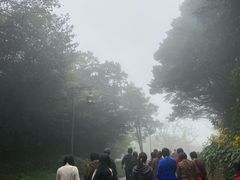 -普陀山风景区-佛顶山