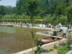 -同銮特种养殖场·龙虾垂钓