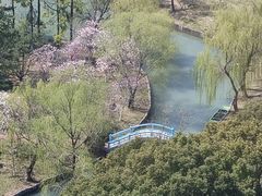 -中央公园(苏州工业园区)