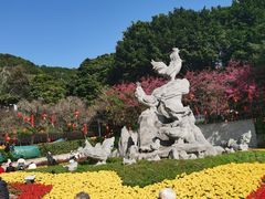 -金鸡山公园