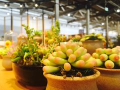 -手工艺活态馆