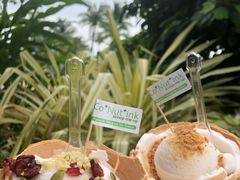 -Co+Nut+Ink(圣淘沙店)