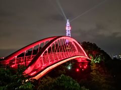 -金鸡山公园