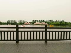 -上海长兴岛郊野公园