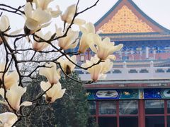 -大明幻境第一城