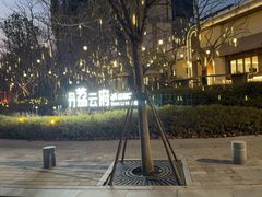 -三猫黑鱼花(南大店)