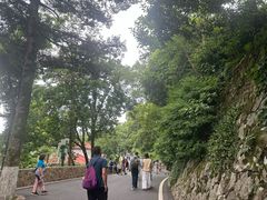 -莫干山风景区