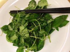 凉拌荆芥-商都酒店( 北京南站店)