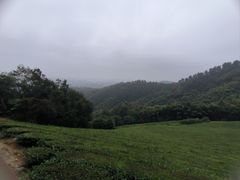 -敬亭山风景名胜区