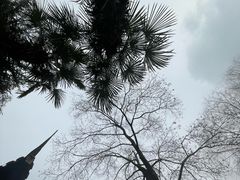 -清晏园
