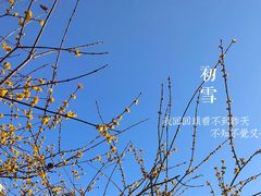 -南京市民俗博物馆(甘熙故居)