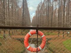 -黄海国家森林公园