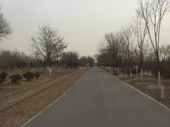 -永定河休闲森林公园