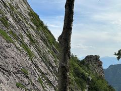 -朱雀国家森林公园