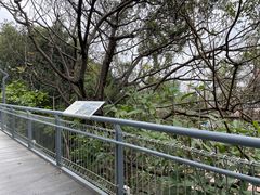 -佛山华盖山公园
