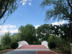 -大兴滨河森林公园