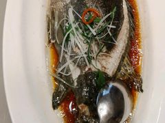 -红城阁·上海味道(四平路店)